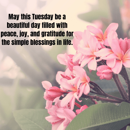 Tuesday blessings, prayers and inspiration
