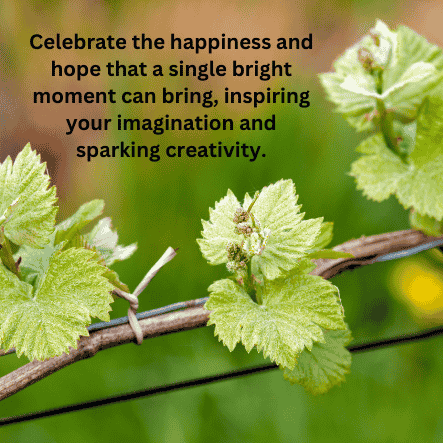 Wednesday blessings, prayers and inspiration 