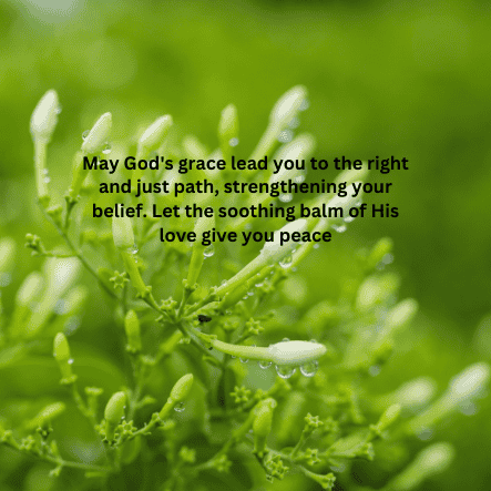 Wednesday blessings, prayers and inspiration 