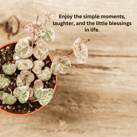 Wednesday blessings, prayers and inspiration 