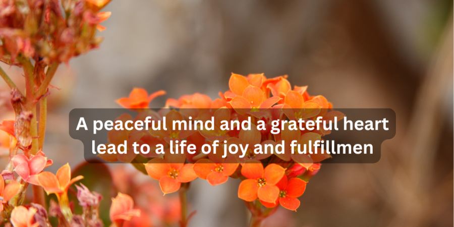 Thursday blessings and quotes