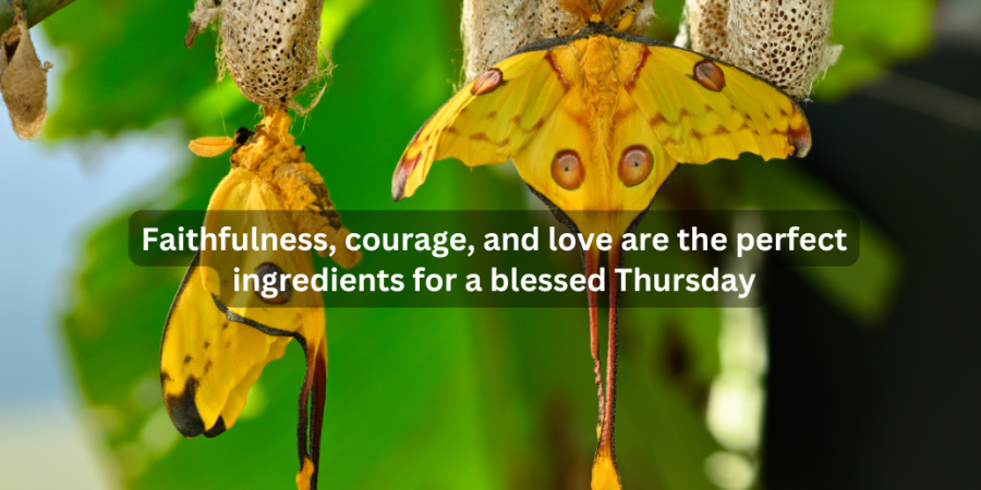 Thursday blessings and quotes