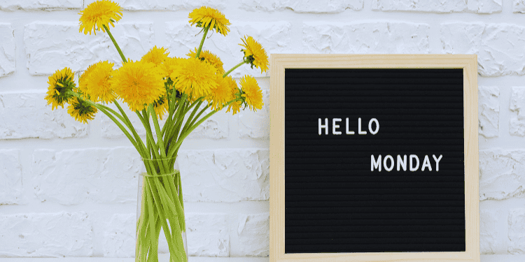 Yellow flowers and letter board saying “Hello Monday”