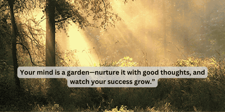 Sunlight in nature with quote about positive thoughts and success