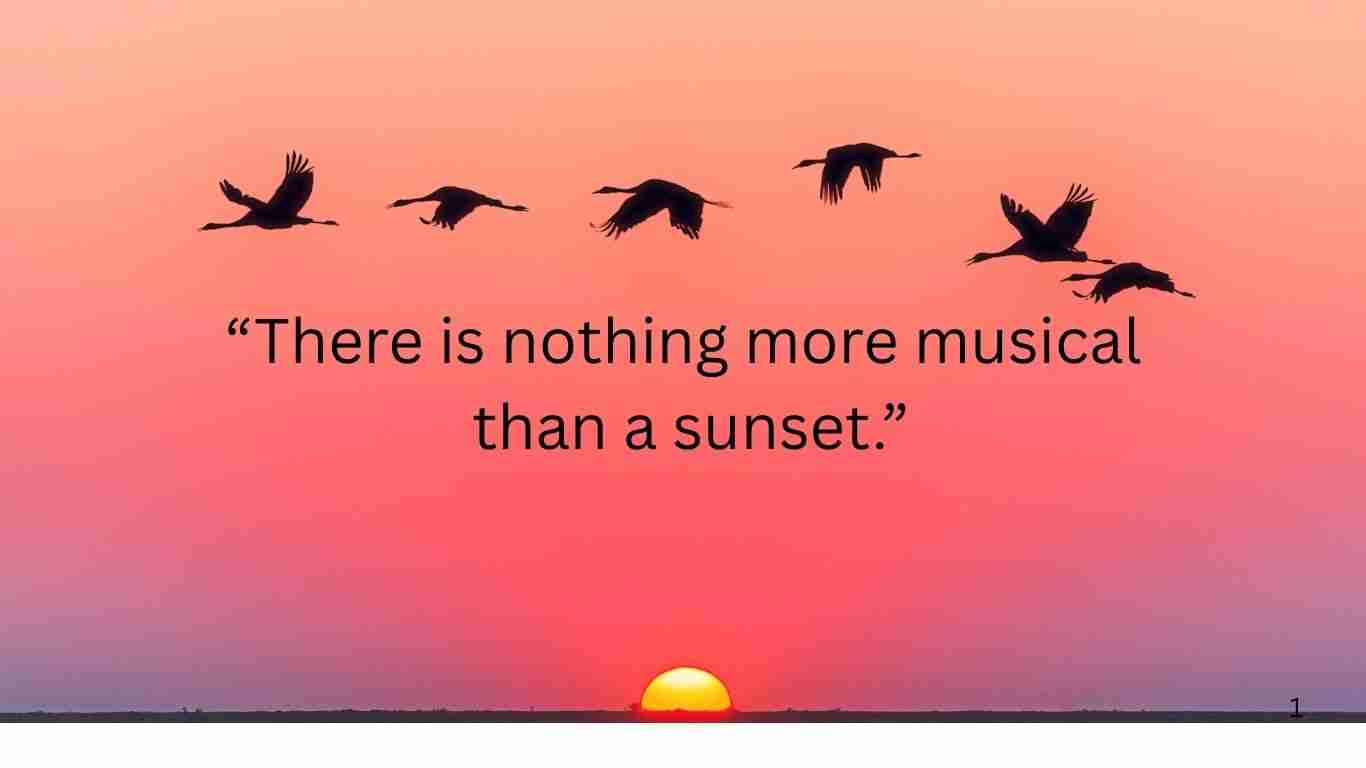 Silhouetted birds flying over pink sunset with poetic quote.