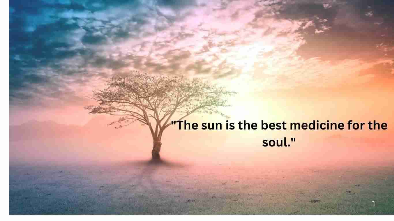 Tree at sunrise with quote about the sun and the soul.