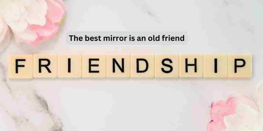 Scrabble tiles spelling FRIENDSHIP on pink and white background with quote