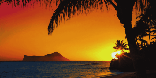 Golden sunset over tropical beach with palm trees and island view.