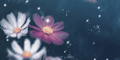 Blessings of nature