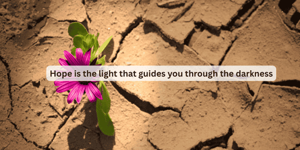 hope in hardship quote