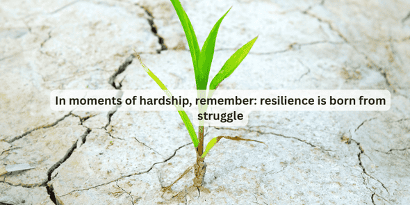 hope in hardship quotes