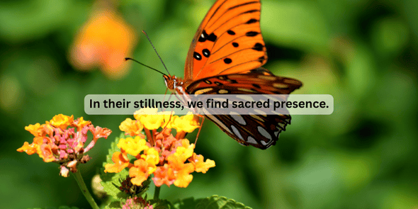 wildlife protection blessings
