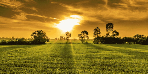 blessings for farmer