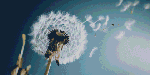 How to Process and Release Resentment Effectively and Heal Emotionally