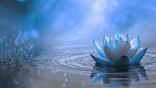 Quotes That Guide You Through Hard Times