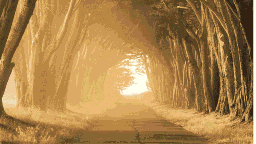 Finding Inner Peace Through Spiritual Quotes